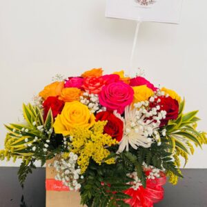 SENSACION – SENSATION