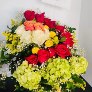 ILUSIÓN – ILLUSION